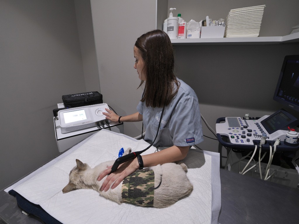Rehabilitacin por radiofrecuencia