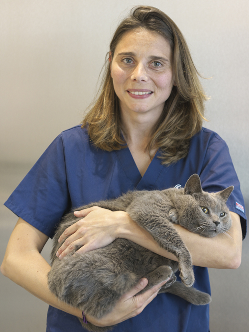 Beln Clnica veterinaria covadonga