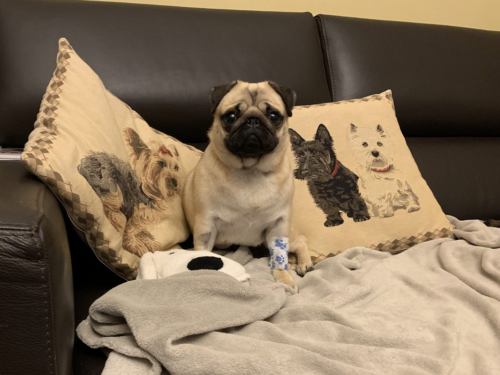 Diva