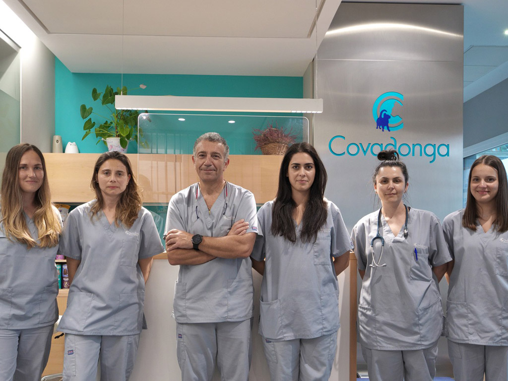 Equipo clnica veterinaria covadonga