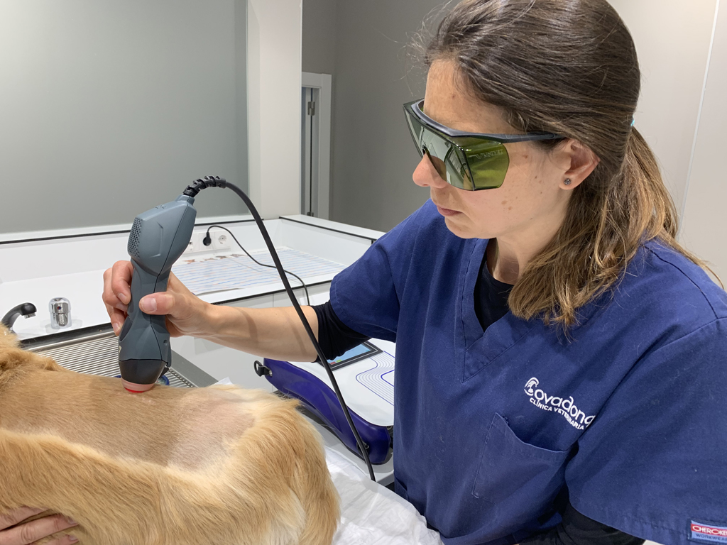 Laserterapia Clnica Veterinaria Covadonga, , Villaviciosa - Asturias