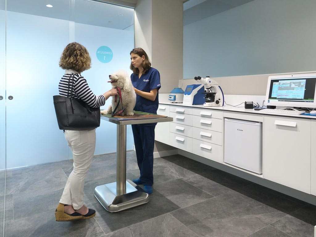 Consulta medicina interna Clnica Veterinaria Covadonga, Villaviciosa - Asturias
