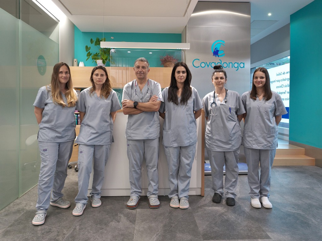 Equipo clínica Veterinaria Covadonga - Villaviciosa, Asturias